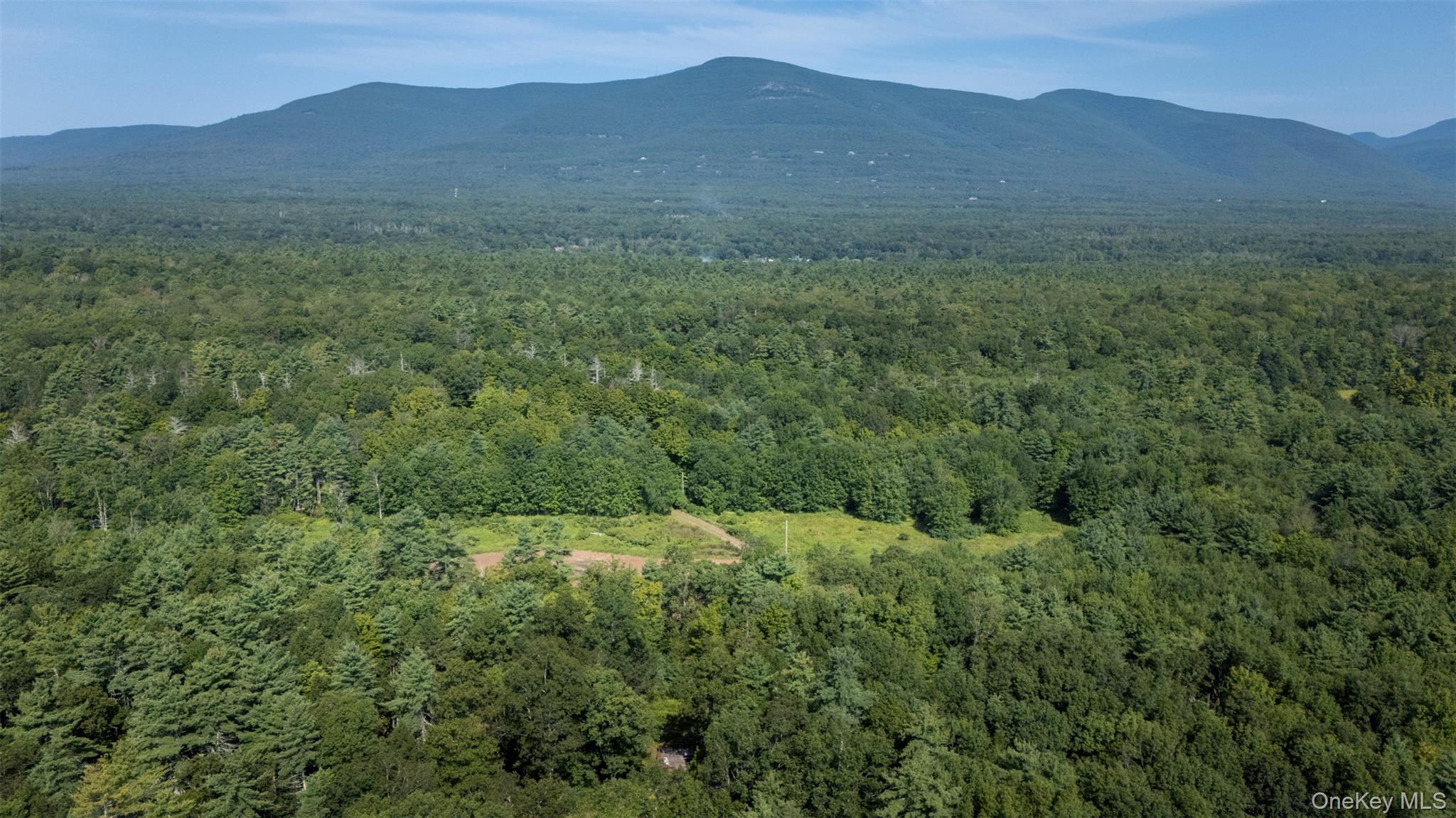327 Phillips Road Saugerties, NY 12477 - Photo 23 of 24 a view of a mountain range with lush green forest
