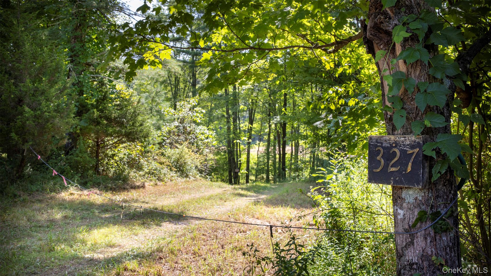 327 Phillips Road Saugerties, NY 12477 - Photo 3 of 24 a view of yard with green space