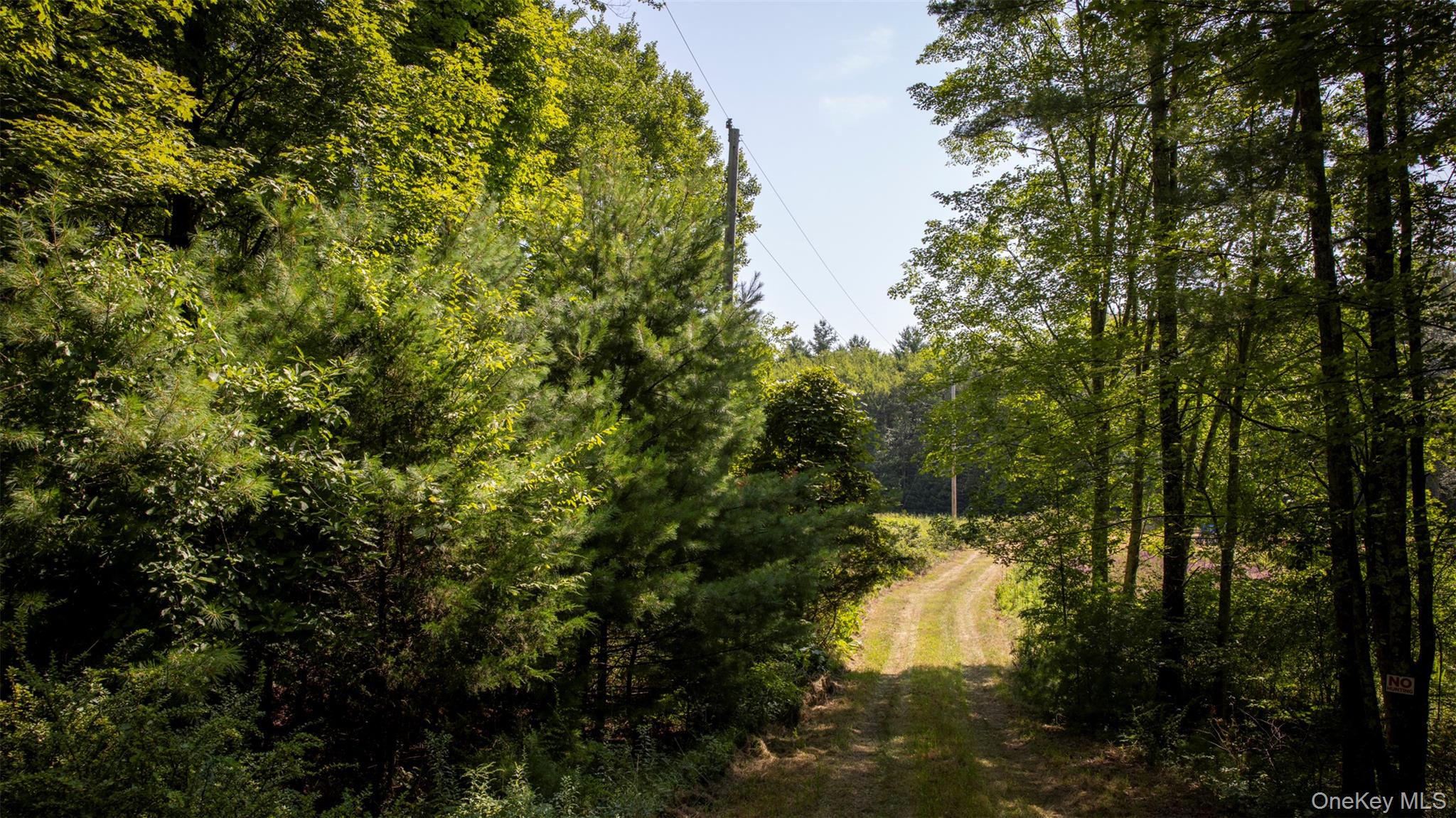327 Phillips Road Saugerties, NY 12477 - Photo 4 of 24 a backyard of a house with a yard and outdoor seating