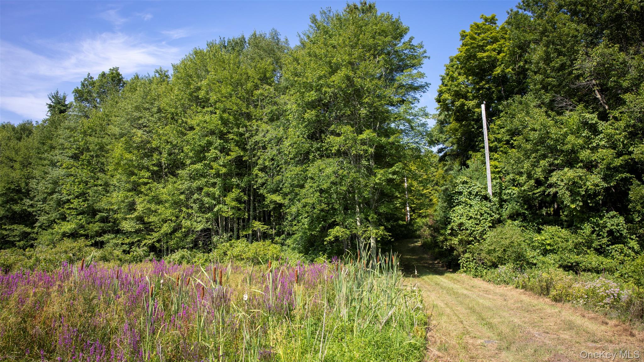 327 Phillips Road Saugerties, NY 12477 - Photo 5 of 24 a backyard of a house with lots of green space and a fountain