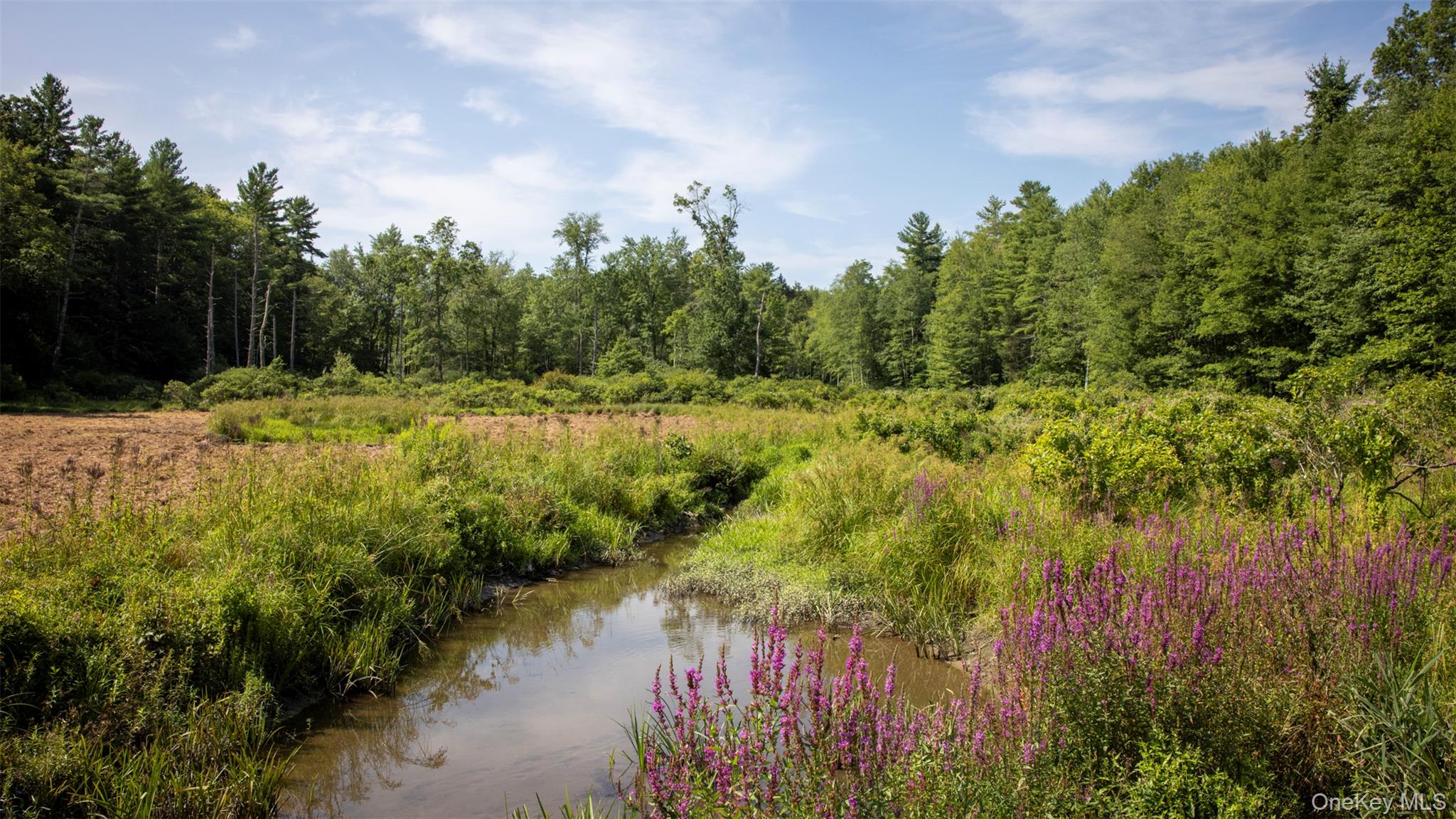 327 Phillips Road Saugerties, NY 12477 - Photo 7 of 24 a view of a lake with a yard and trees