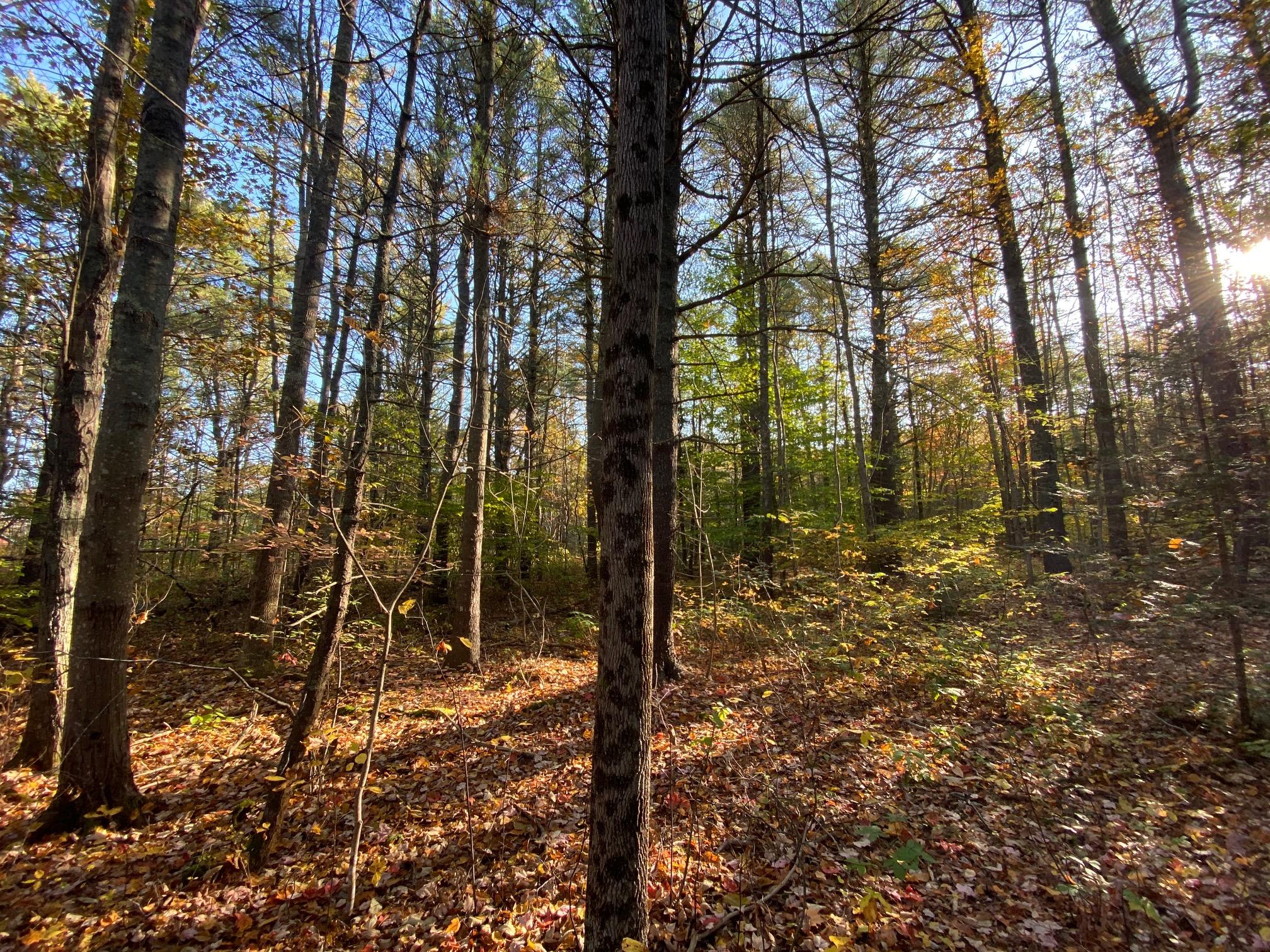 M9-l14 Fogler Road Bristol, ME 04539 - Photo 2 of 5 image0
