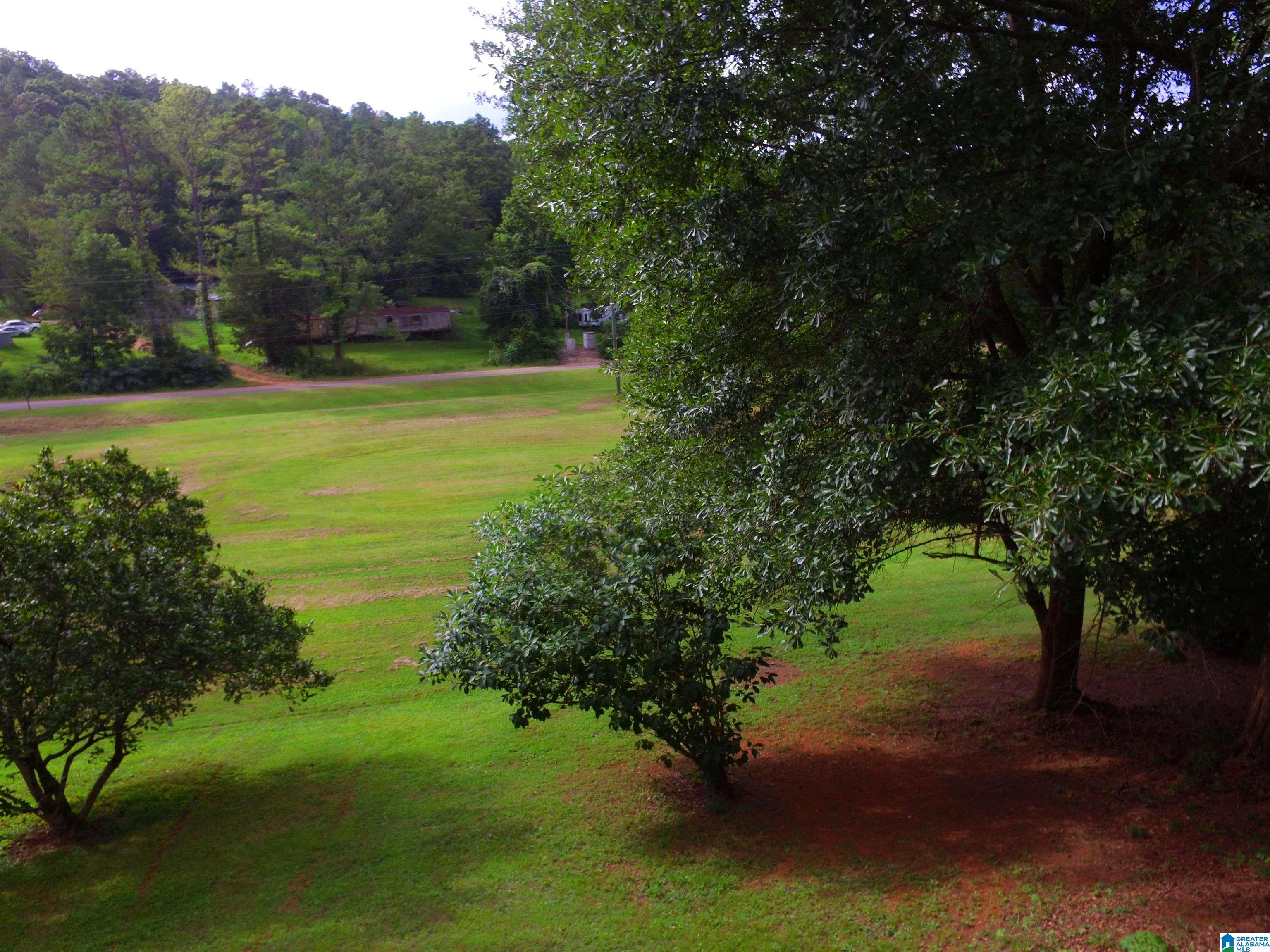 4041 Allison Mill Road Talladega, AL 35160 - Photo 6 of 53