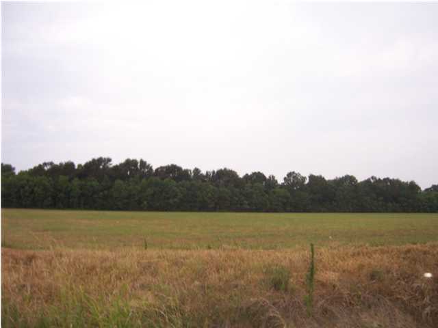 2 Fontenot Road Opelousas, LA 70570 - Photo 1 of 7 Primary Photo