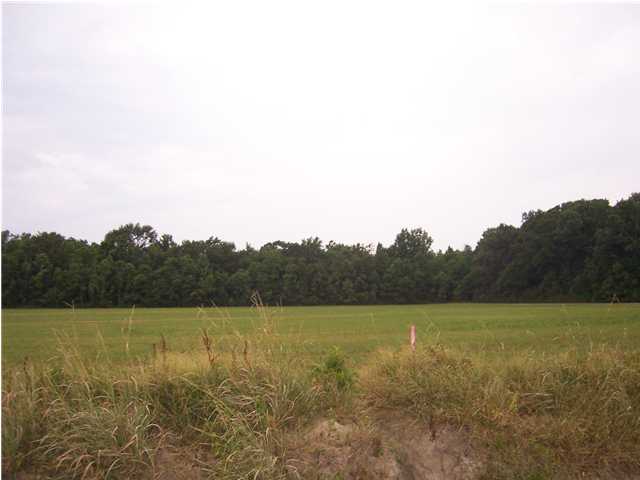 2 Fontenot Road Opelousas, LA 70570 - Photo 6 of 7 Additional Photo