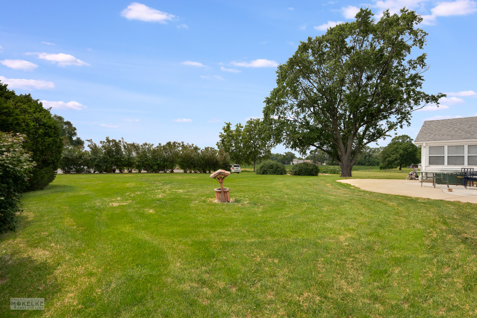 2512 Caton Farm Road Joliet, IL 60435 - Photo 8 of 41 a view of garden with trees in the background