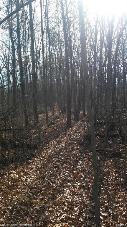 Eight West Eight Mile Road South Lyon, MI 48178 - Photo 7 of 58
