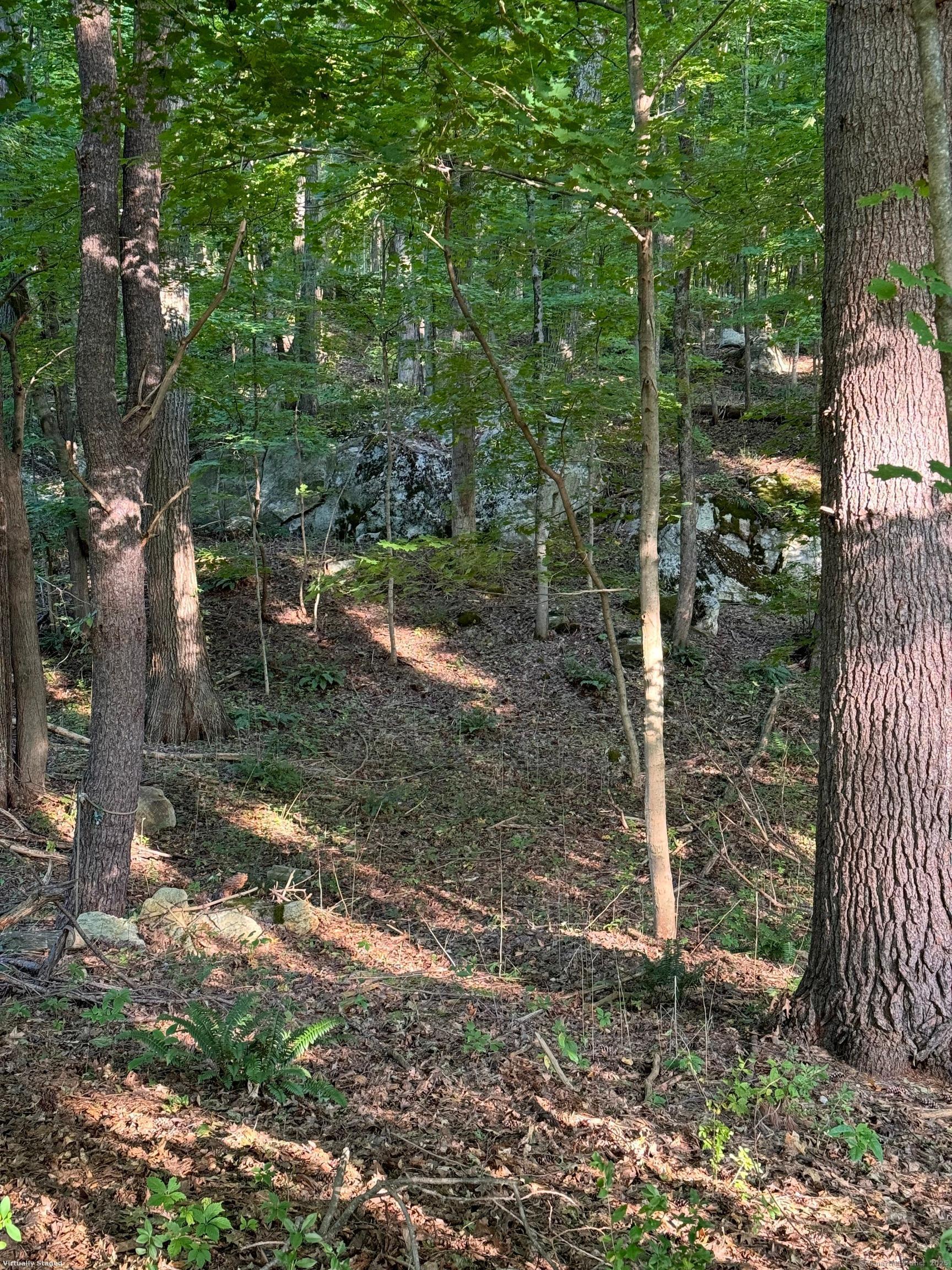 0 Cornwall Bridge Road Sharon, CT 06069 - Photo 12 of 19 a backyard of a house with lots of green space