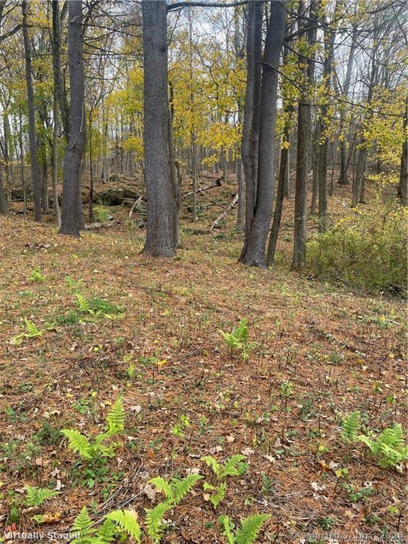 0 Cornwall Bridge Road Sharon, CT 06069 - Photo 13 of 19 a backyard of a house with lots of green space