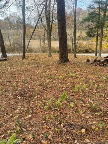 a view of backyard with tree