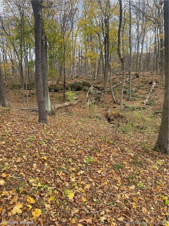 0 Cornwall Bridge Road Sharon, CT 06069 - Photo 14 of 19 a backyard of a house with lots of green space
