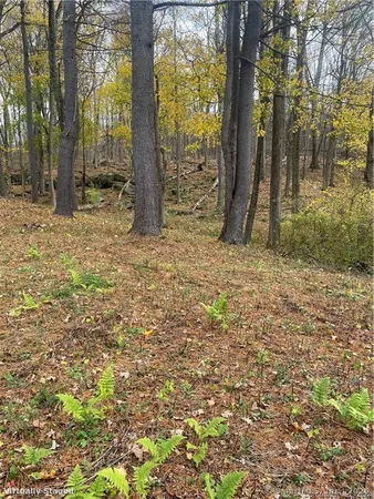 $139,000 | 0 Cornwall Bridge Road, Sharon, CT 06069