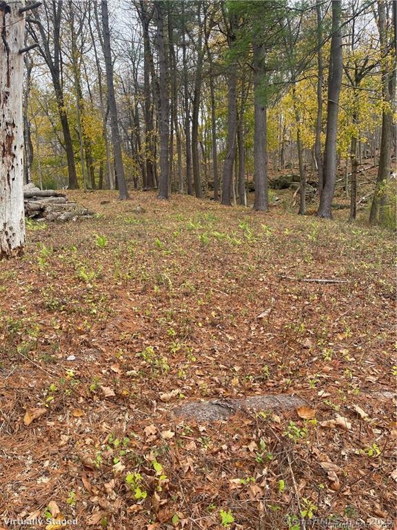 0 Cornwall Bridge Road Sharon, CT 06069 - Photo 17 of 19 a big yard with trees