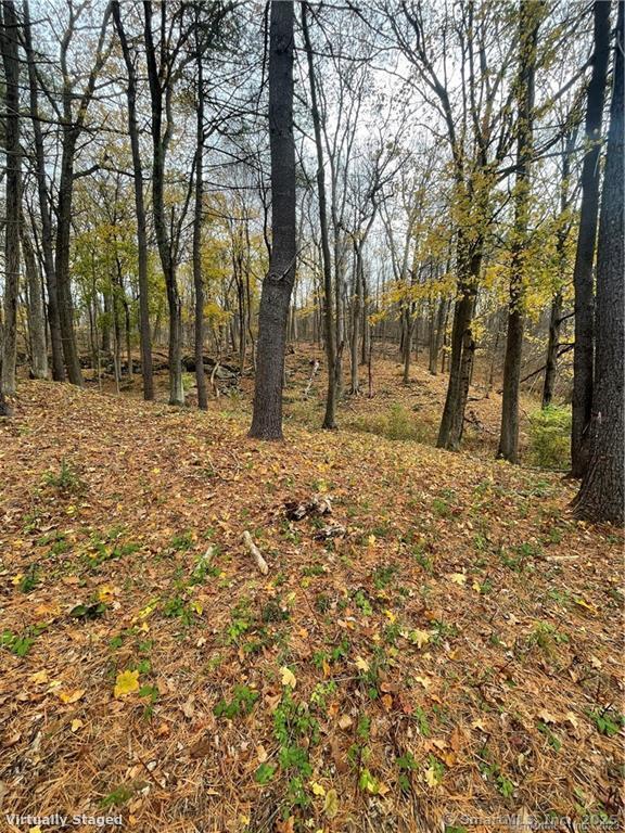 0 Cornwall Bridge Road Sharon, CT 06069 - Photo 17 of 19