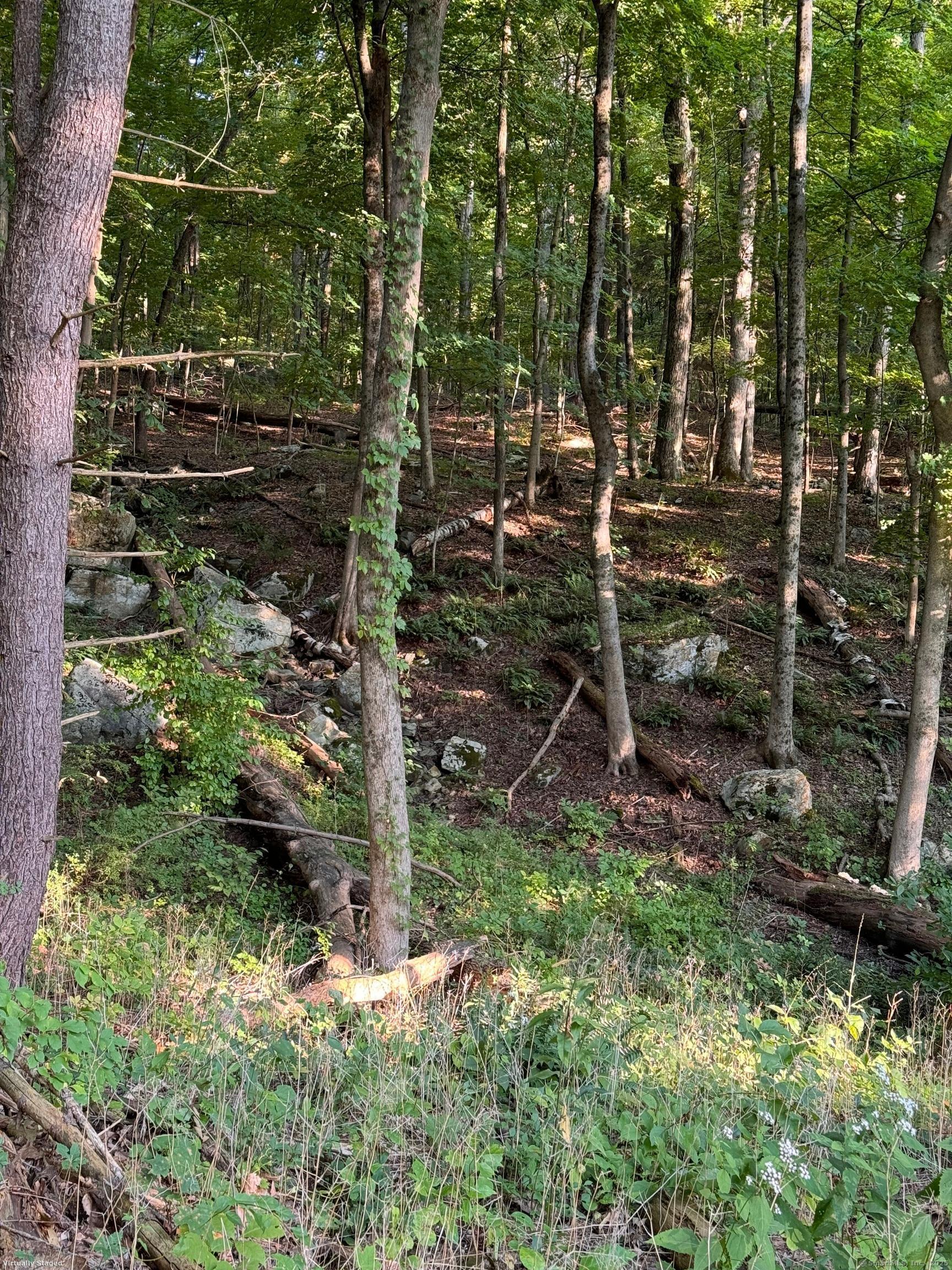 0 Cornwall Bridge Road Sharon, CT 06069 - Photo 18 of 19 a view of outdoor space and yard