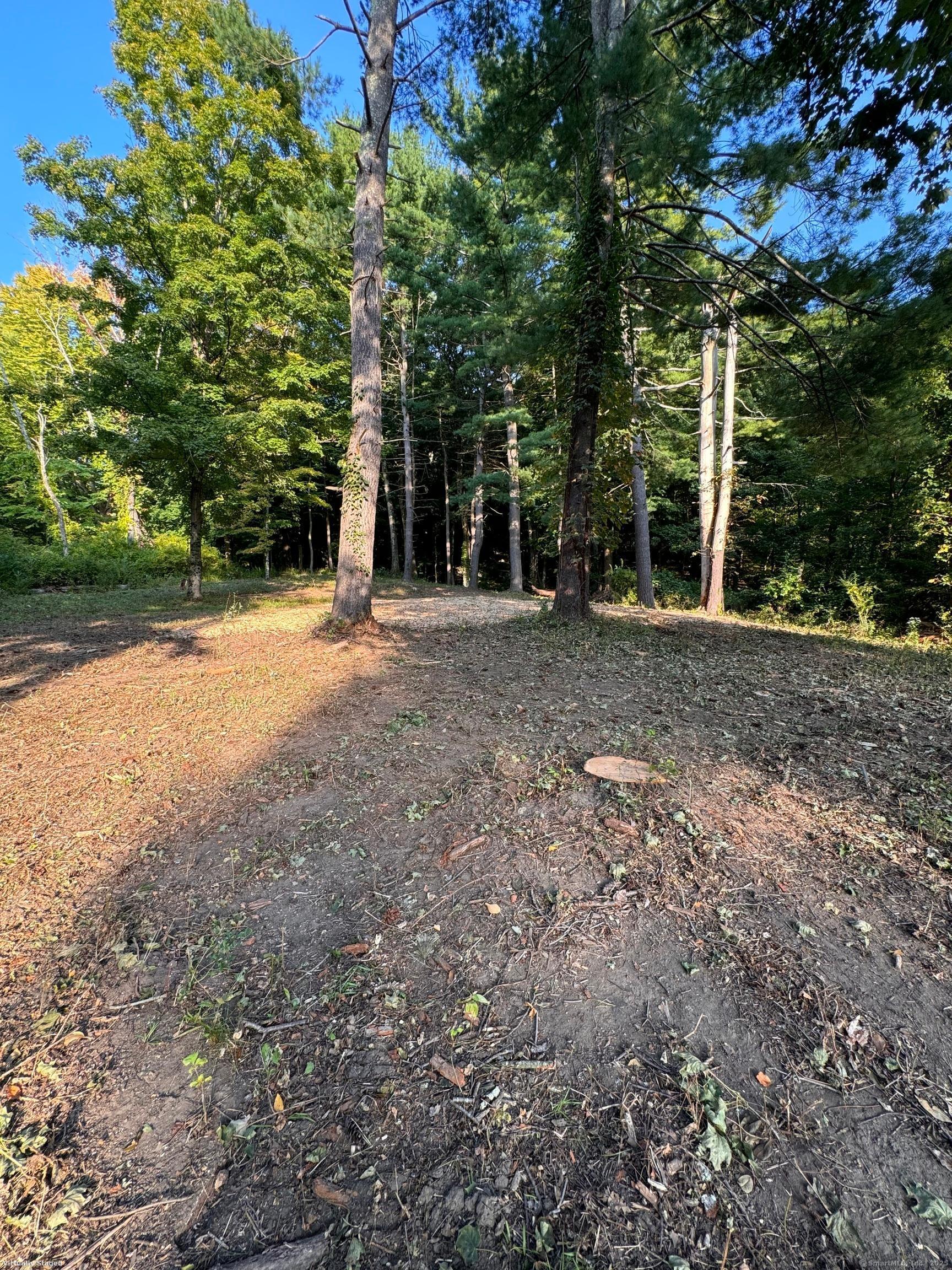 0 Cornwall Bridge Road Sharon, CT 06069 - Photo 4 of 19 a view of a field with plants and trees
