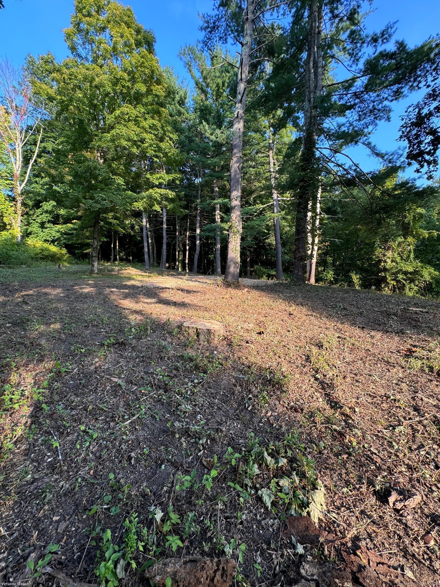 0 Cornwall Bridge Road Sharon, CT 06069 - Photo 5 of 19 a view of a yard with plants and large trees