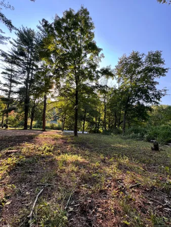 a view of a tree in the middle of a yard