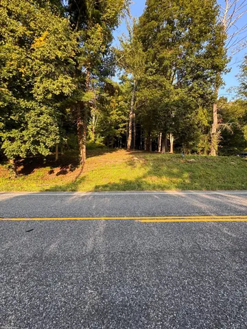 a view of yard with large trees