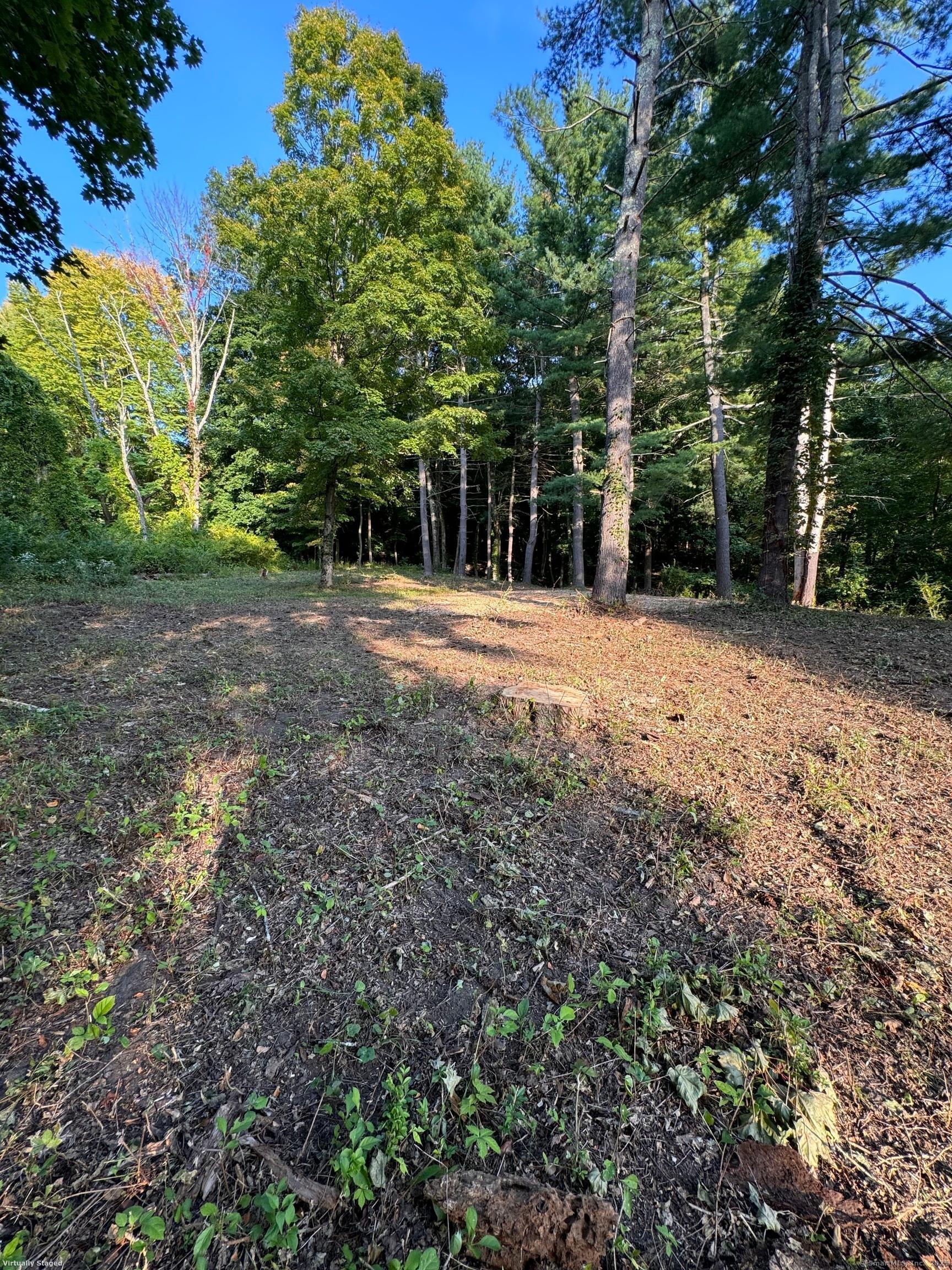 0 Cornwall Bridge Road Sharon, CT 06069 - Photo 9 of 19 a view of a yard with plants and large trees