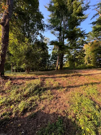a view of outdoor space with trees