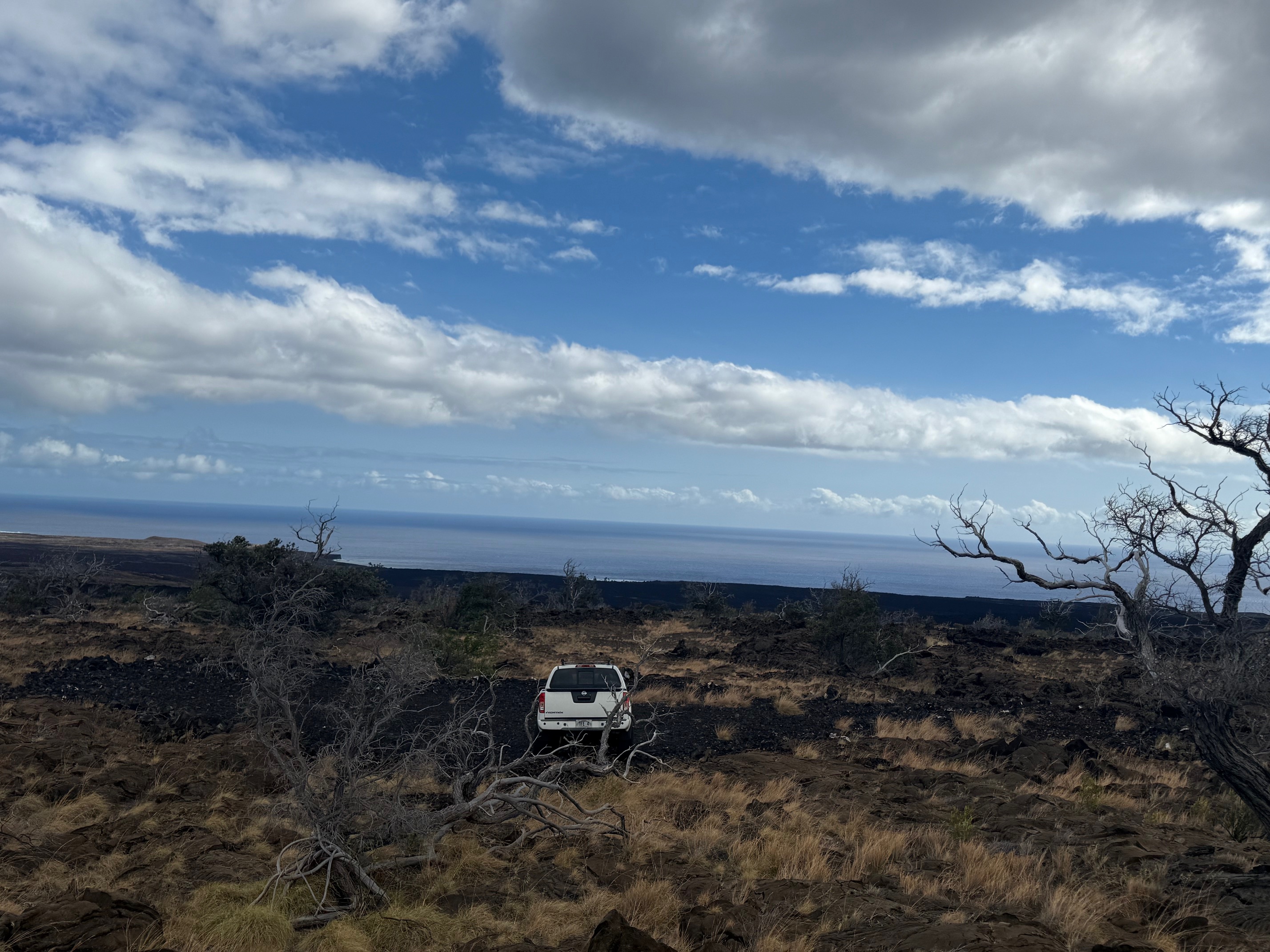 92-681 Prince Kuhio Boulevard Ocean View, HI 96704 - Photo 12 of 23 a view of a backyard of a house with a yard