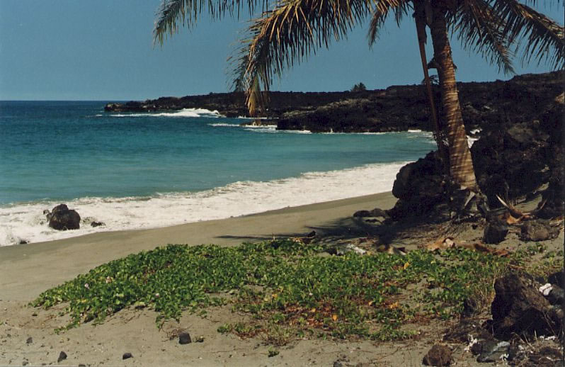 92-681 Prince Kuhio Boulevard Ocean View, HI 96704 - Photo 18 of 23 a view of a lake and a yard