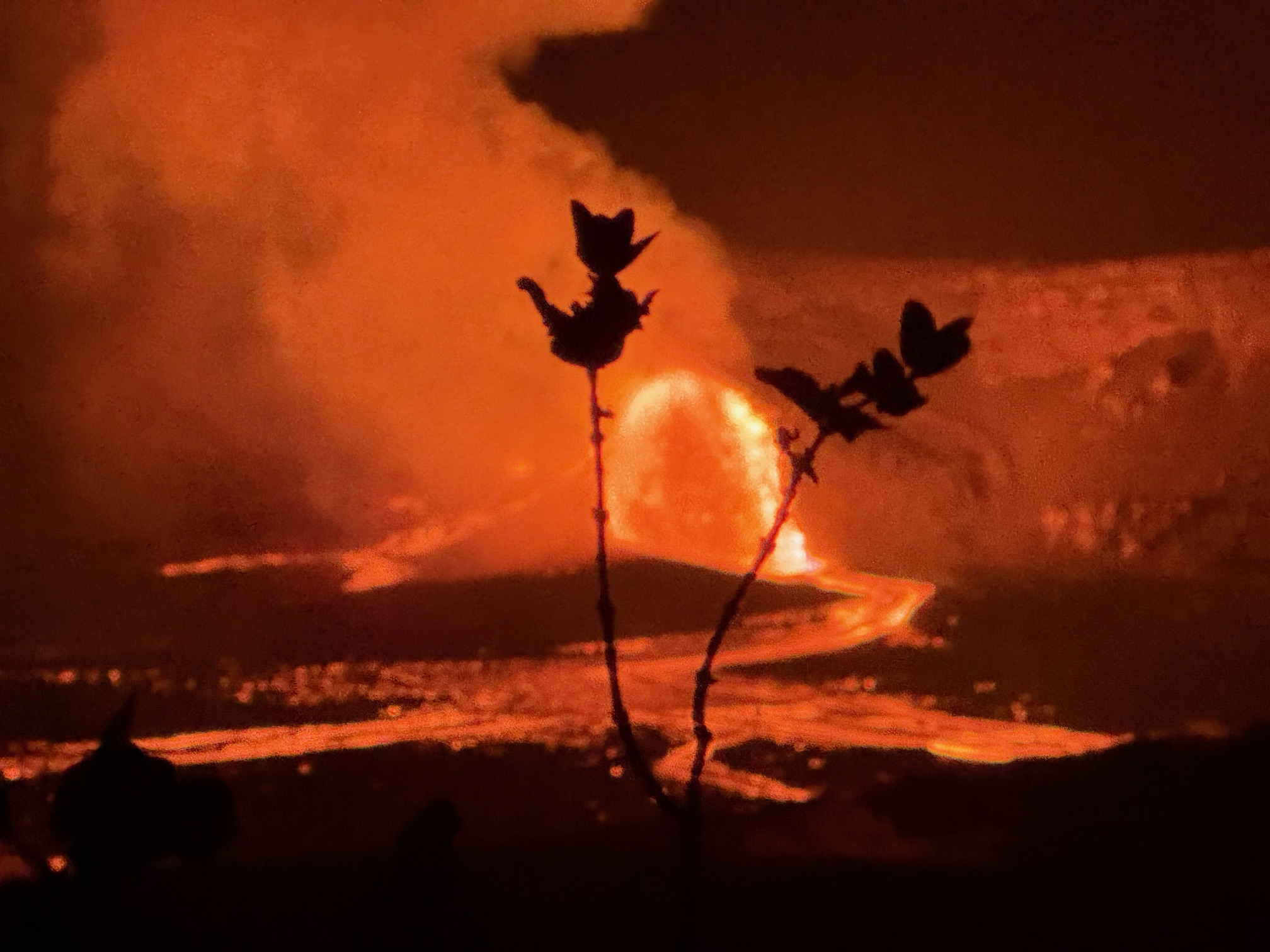 92-681 Prince Kuhio Boulevard Ocean View, HI 96704 - Photo 20 of 23 a view of a room