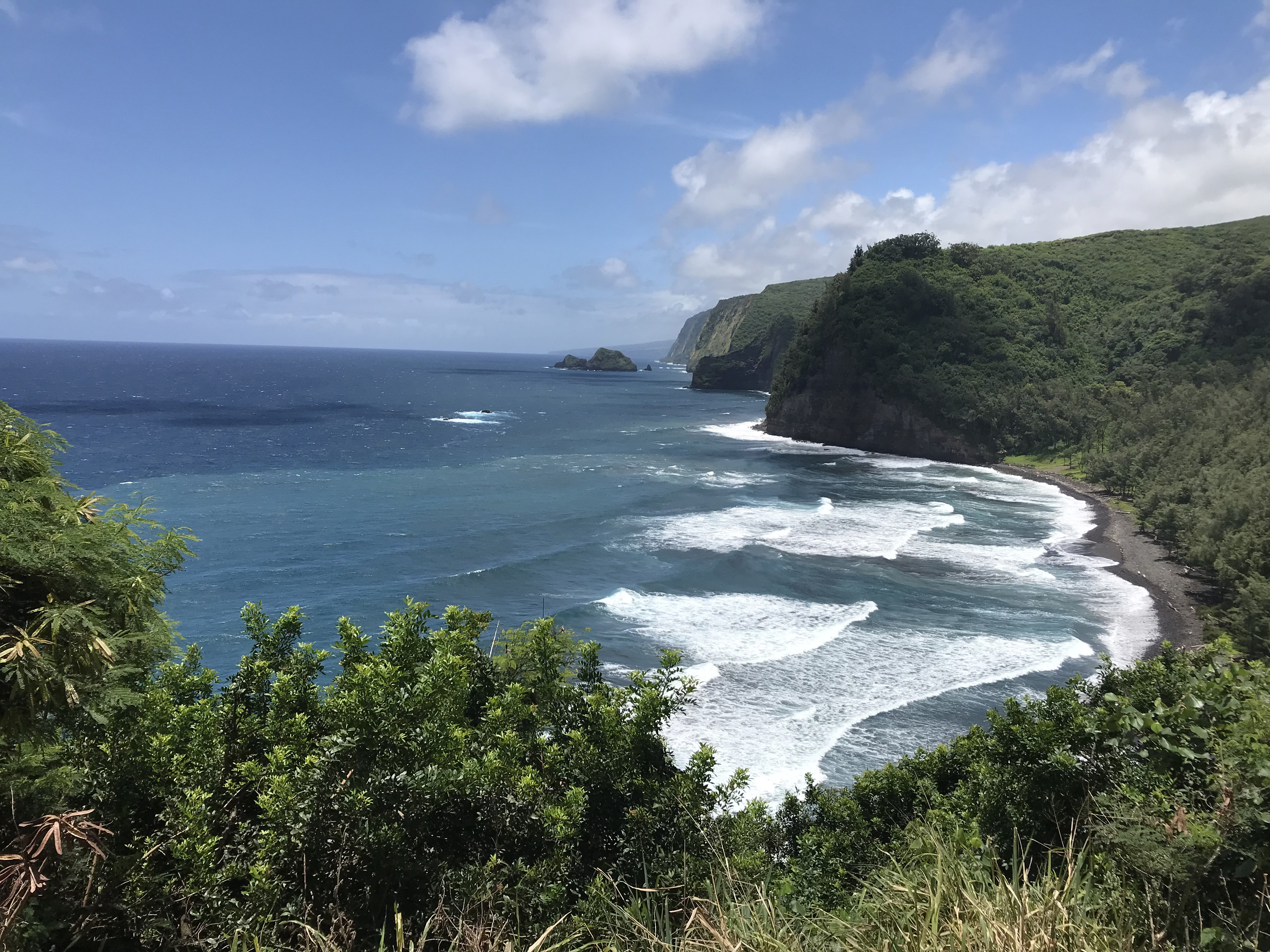 92-681 Prince Kuhio Boulevard Ocean View, HI 96704 - Photo 21 of 23 a view of a pathway both side of grassy field with shrub