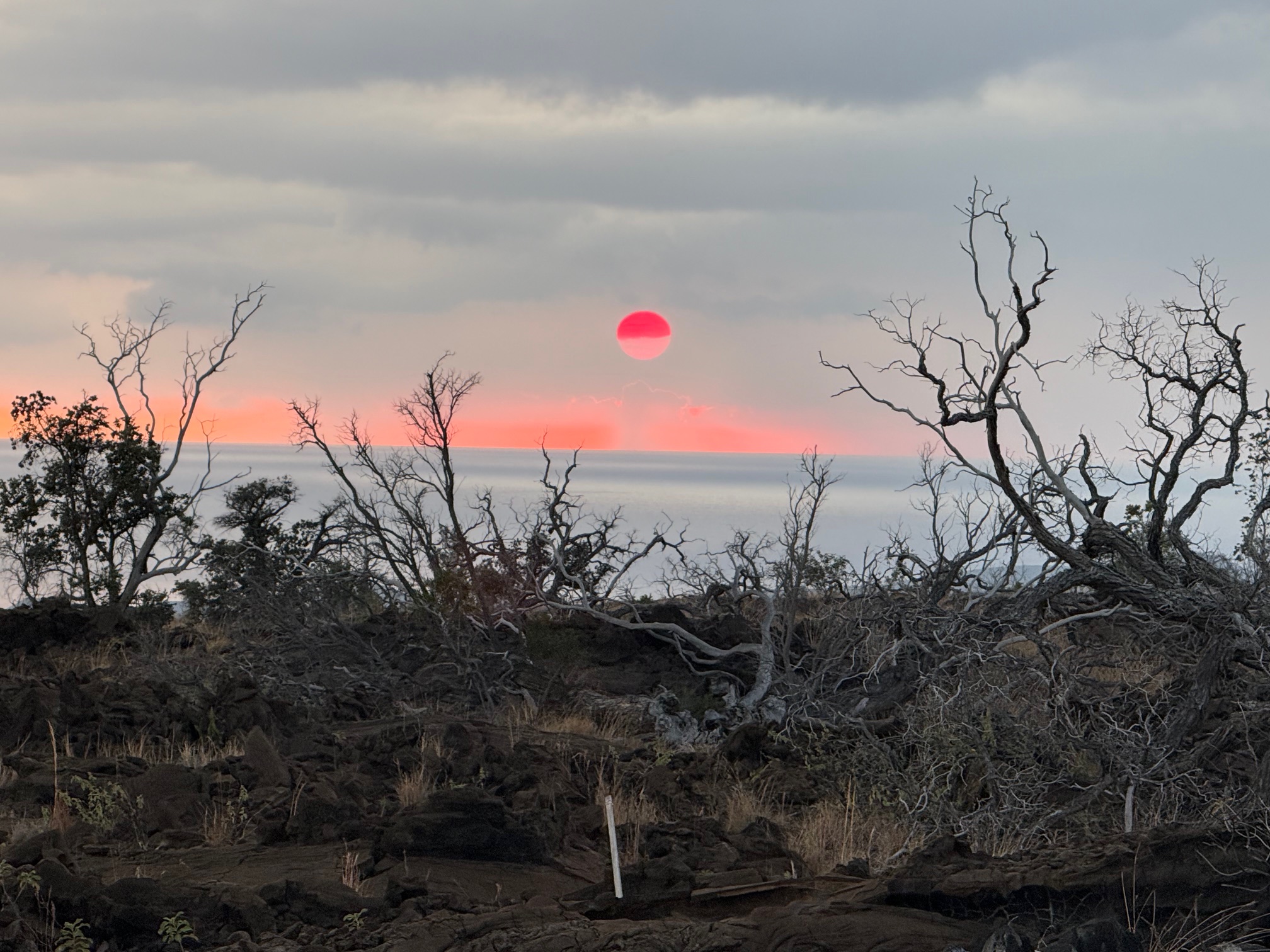 92-681 Prince Kuhio Boulevard Ocean View, HI 96704 - Photo 8 of 23 a backyard of a house with lots of green space