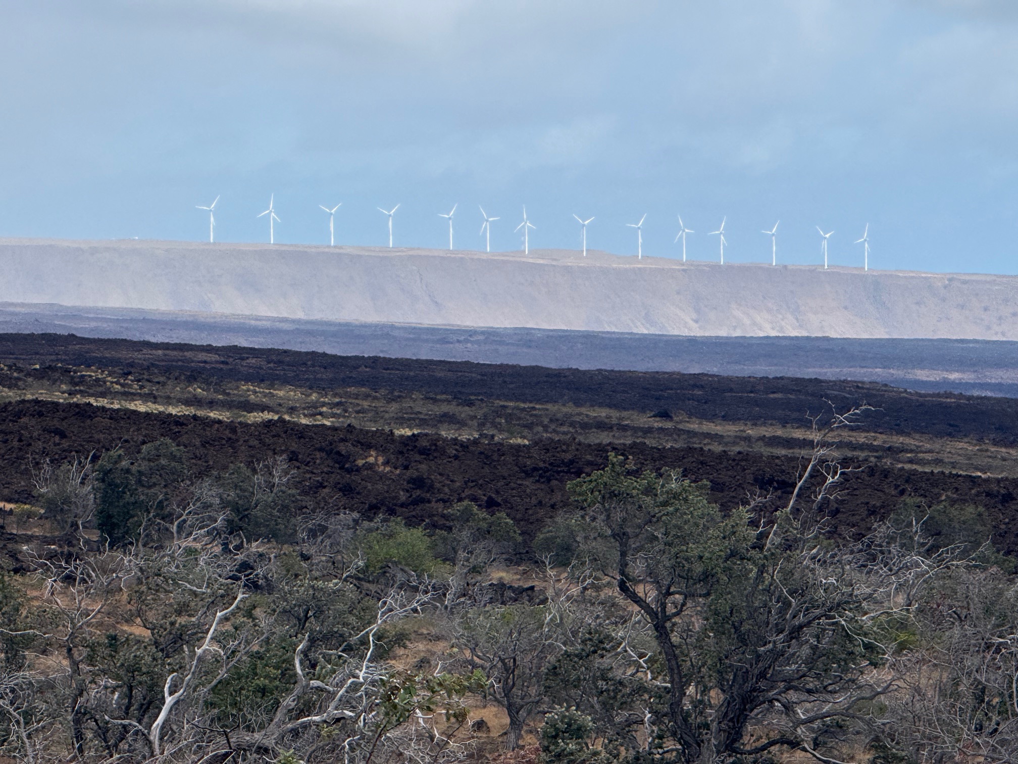 92-681 Prince Kuhio Boulevard Ocean View, HI 96704 - Photo 9 of 23 a view of a dry yard with wooden floor