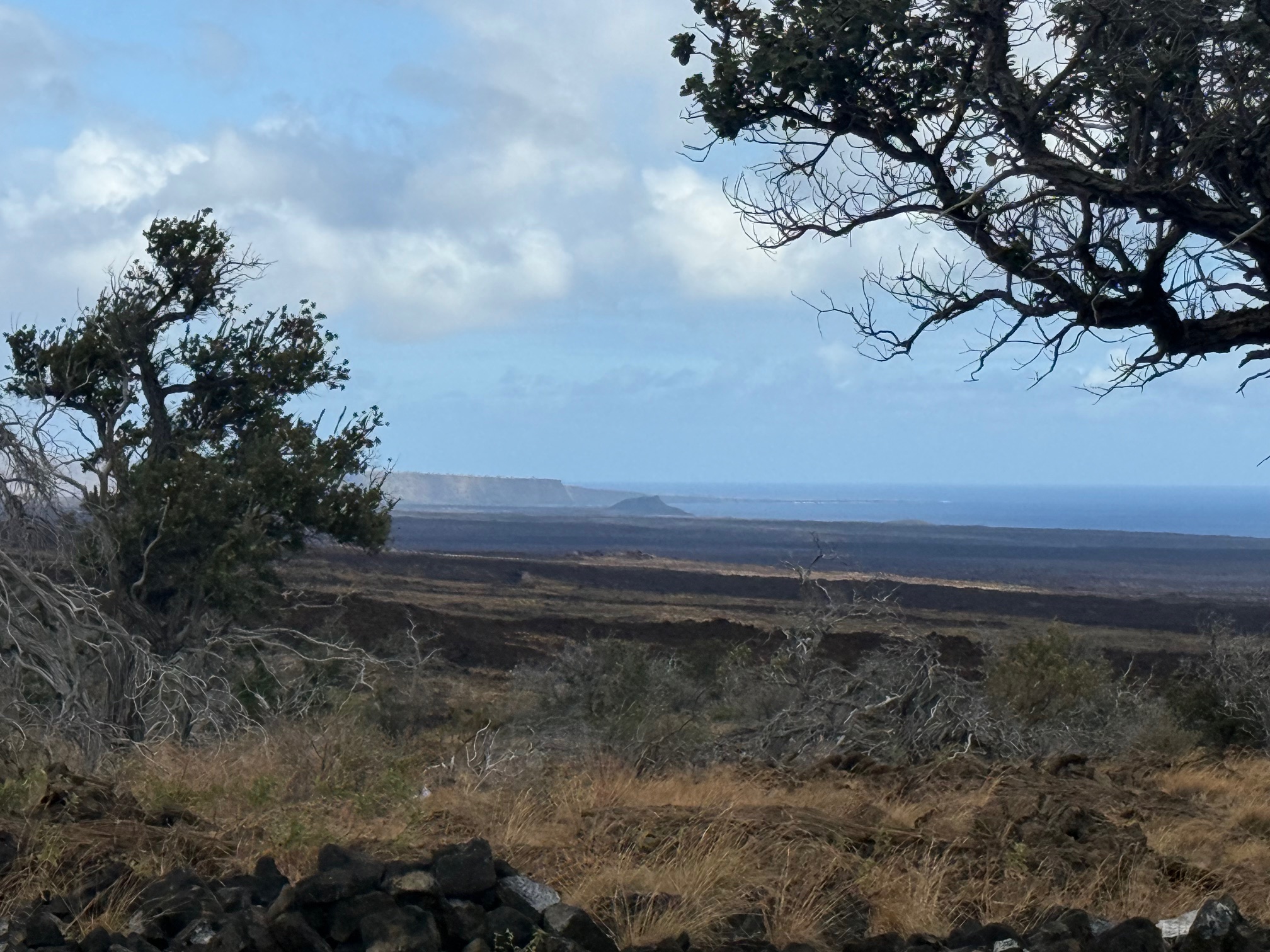 92-681 Prince Kuhio Boulevard Ocean View, HI 96704 - Photo 10 of 23 a view of a yard with wooden fence