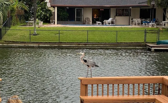 $6,000 | 146 Bimini Road, Cocoa Beach, FL 32931