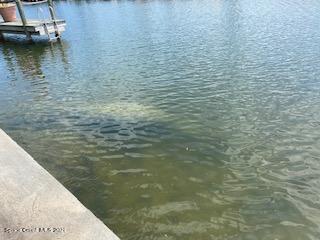 146 Bimini Road Cocoa Beach, FL 32931 - Photo 41 of 41 a view of residential houses with lake view
