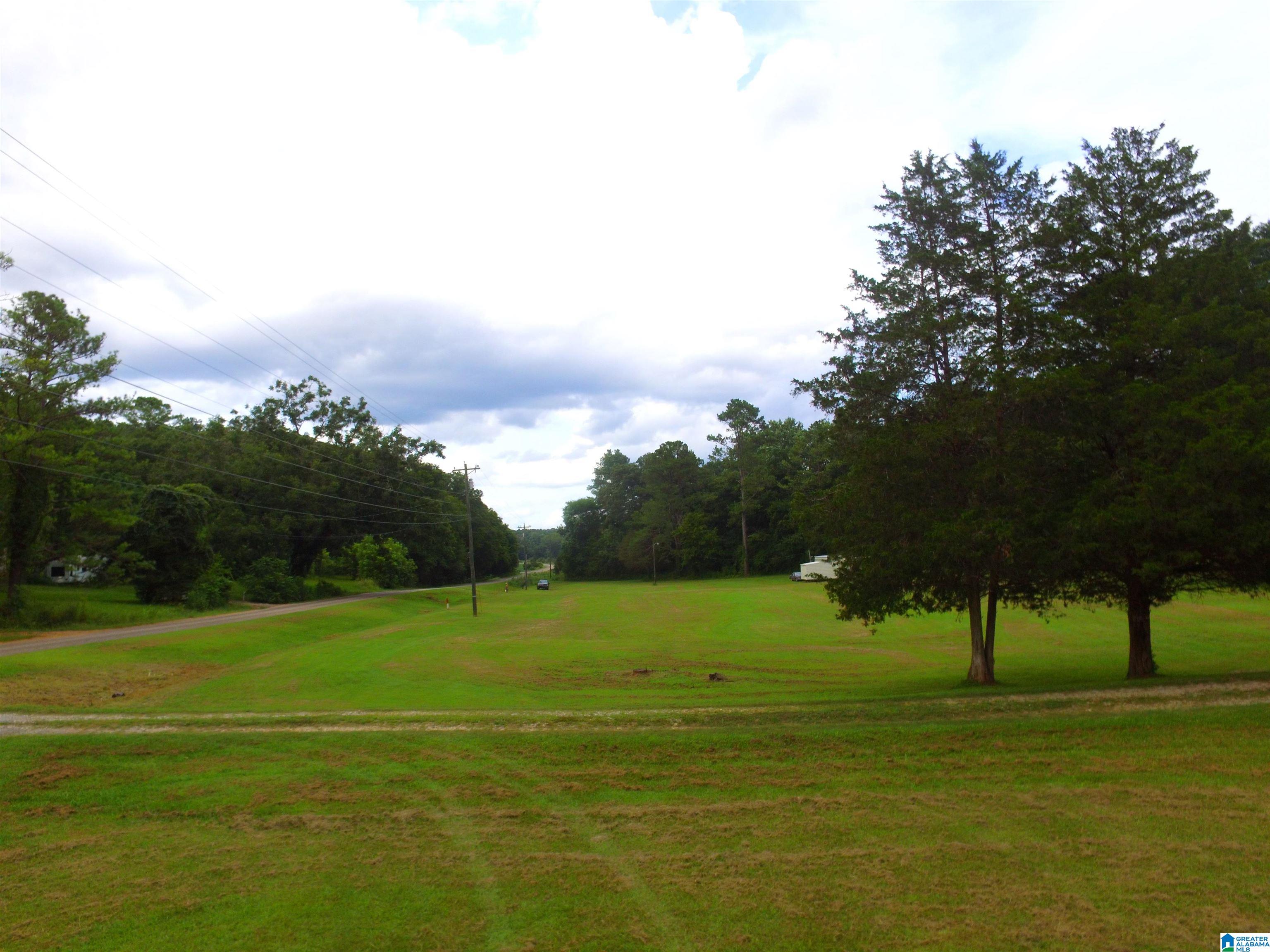 4041 Allison Mill Road Talladega, AL 35160 - Photo 2 of 53