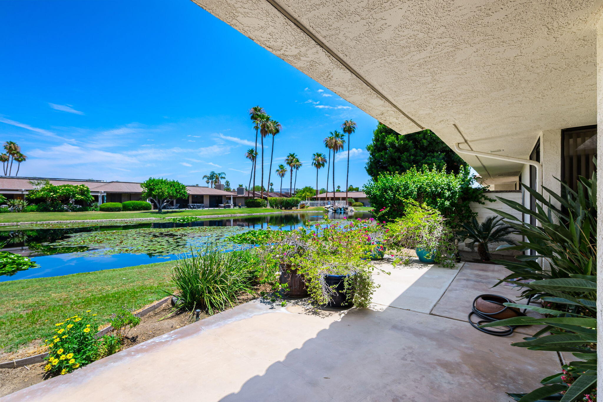 4 Reed Court Rancho Mirage, CA 92270 - Photo 7 of 42 a view of a garden with plants and a bench