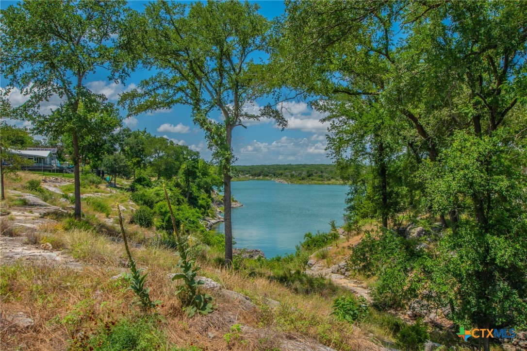 2249 Prickley Pear Road Belton, TX 76513 - Photo 3 of 16