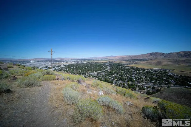 a view of a dry yard with mountains in the background
