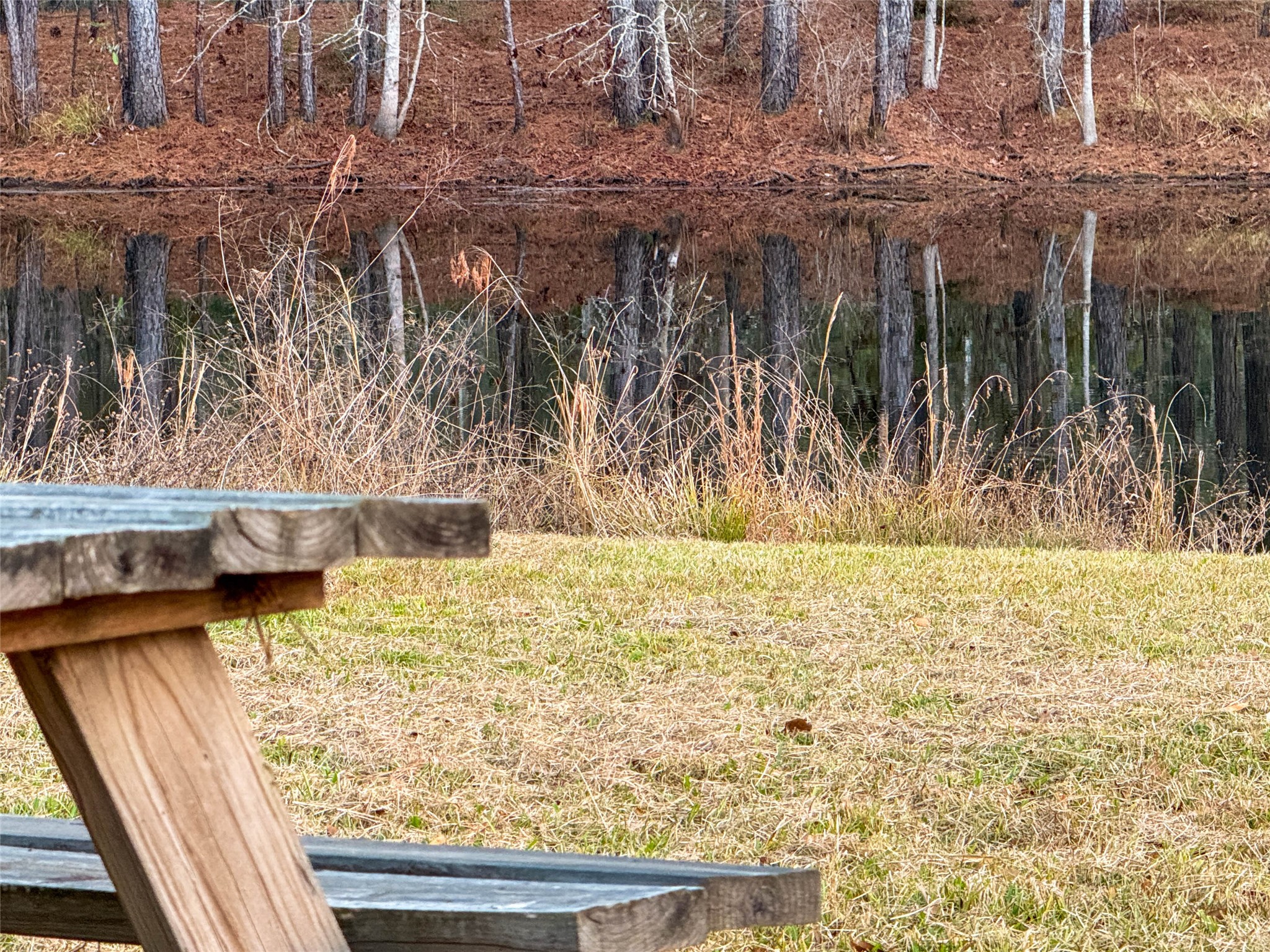 Tbd Felps Cemetery Road Saratoga, TX 77585 - Photo 11 of 50