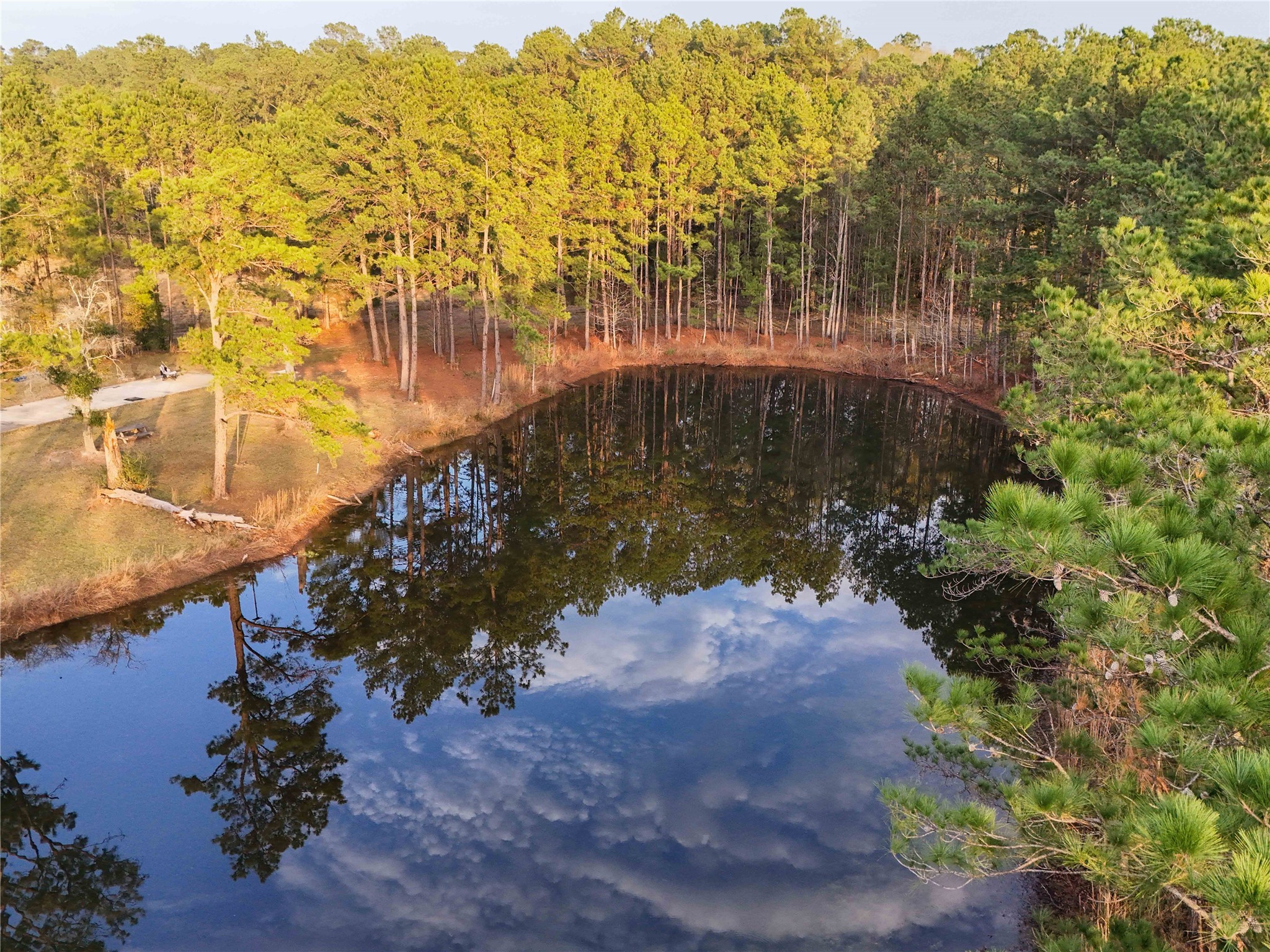 Tbd Felps Cemetery Road Saratoga, TX 77585 - Photo 14 of 50