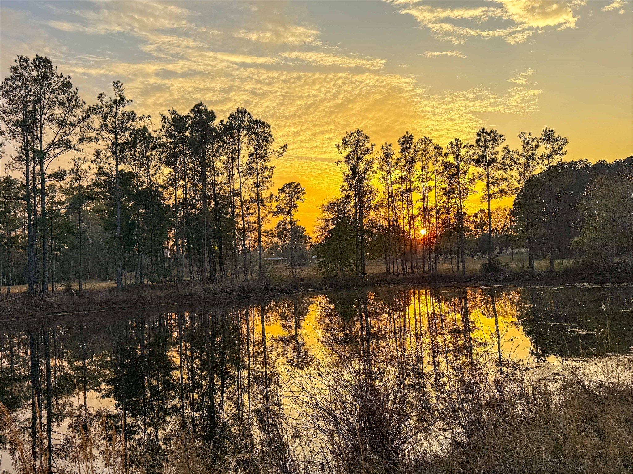 Tbd Felps Cemetery Road Saratoga, TX 77585 - Photo 15 of 50