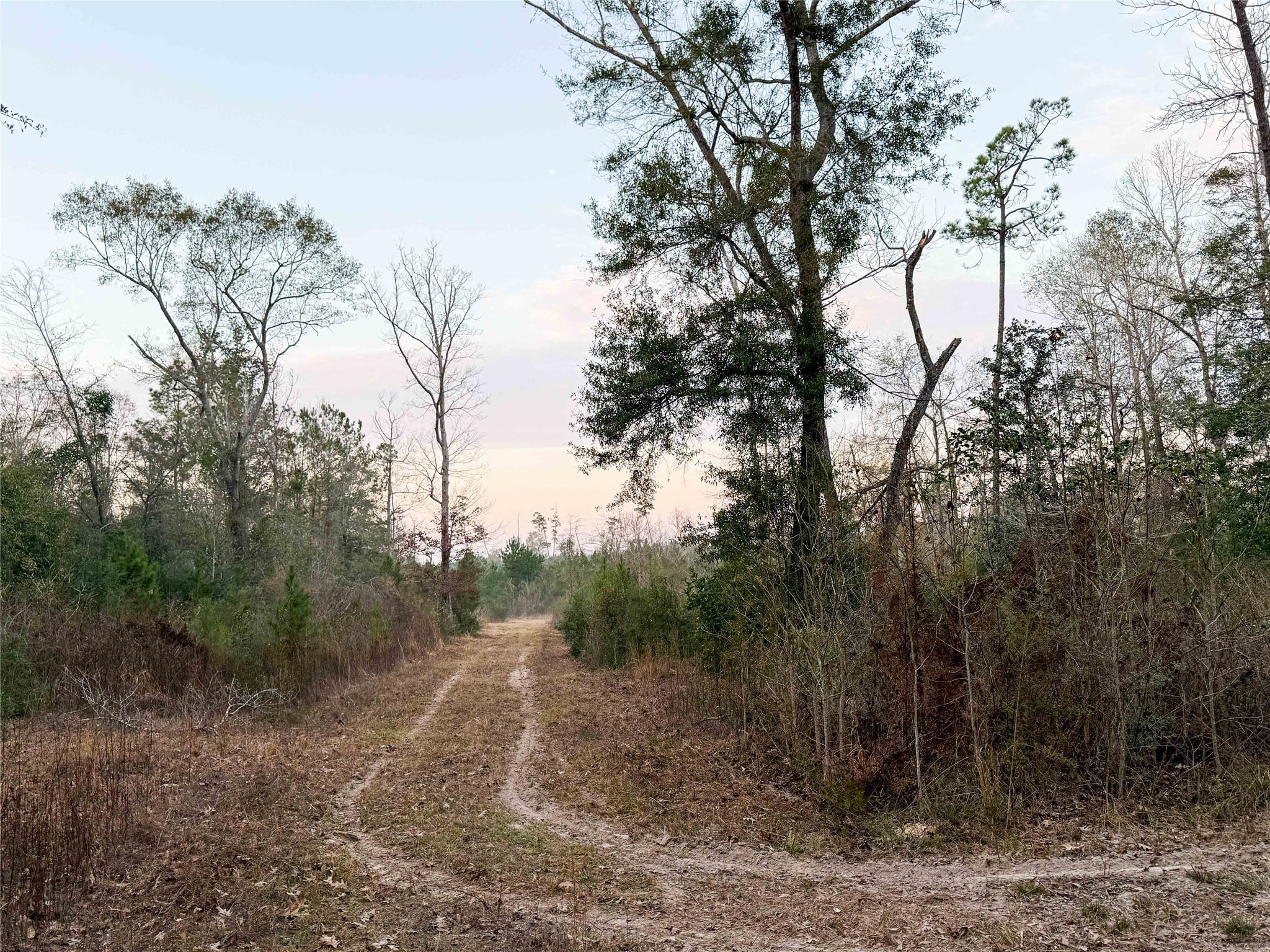 Tbd Felps Cemetery Road Saratoga, TX 77585 - Photo 18 of 50