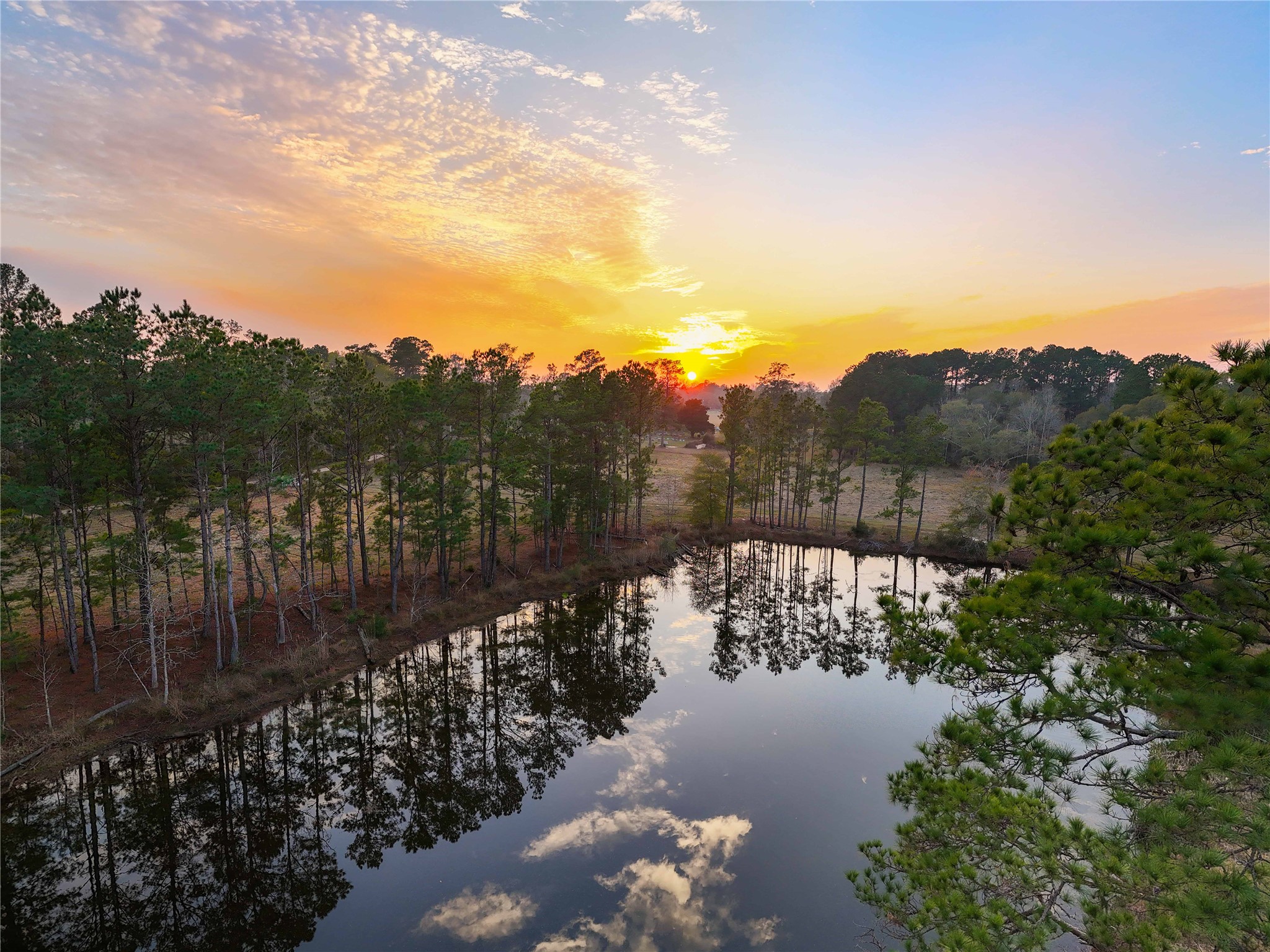 Tbd Felps Cemetery Road Saratoga, TX 77585 - Photo 2 of 50