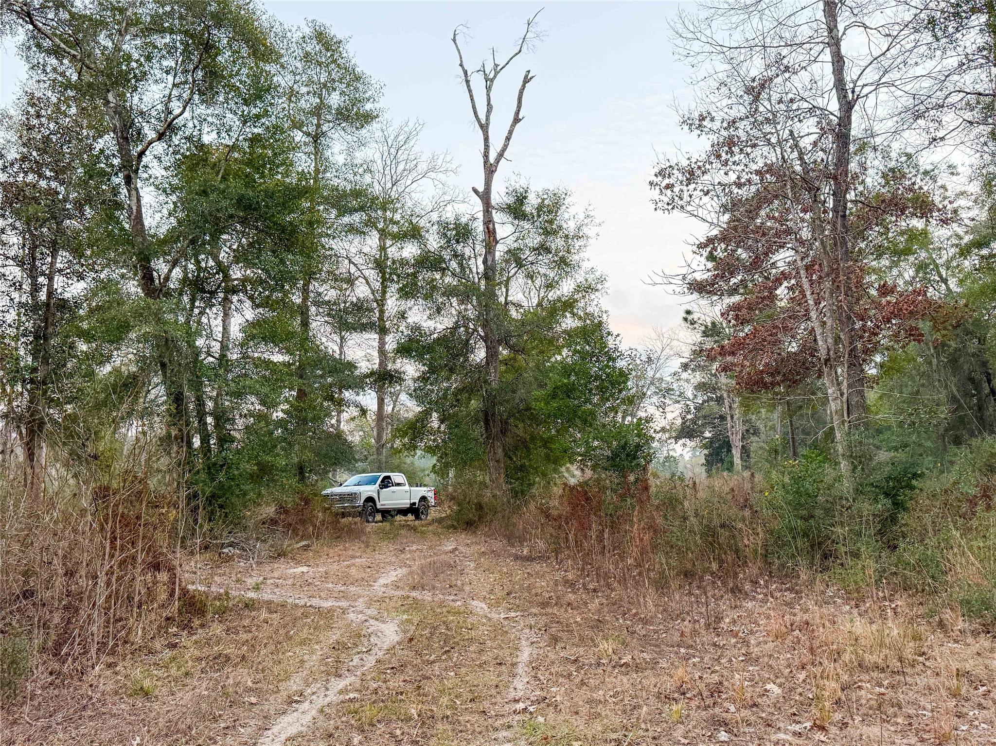 Tbd Felps Cemetery Road Saratoga, TX 77585 - Photo 23 of 50