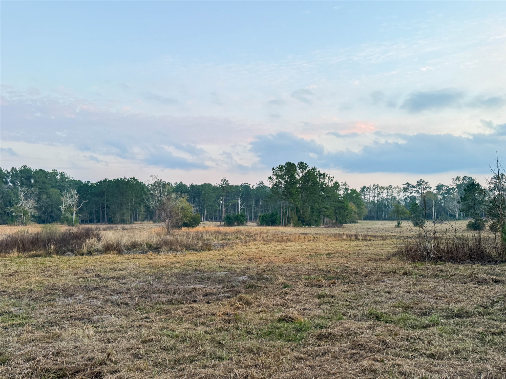 Tbd Felps Cemetery Road Saratoga, TX 77585 - Photo 24 of 50