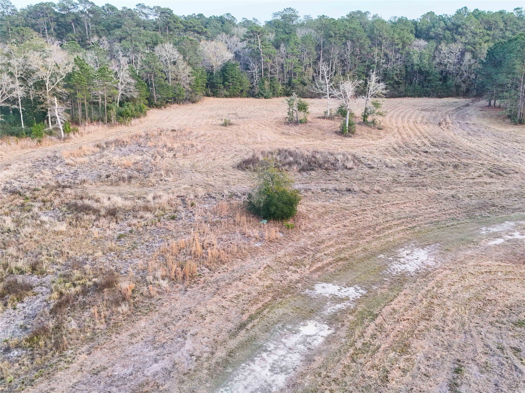 Tbd Felps Cemetery Road Saratoga, TX 77585 - Photo 25 of 50