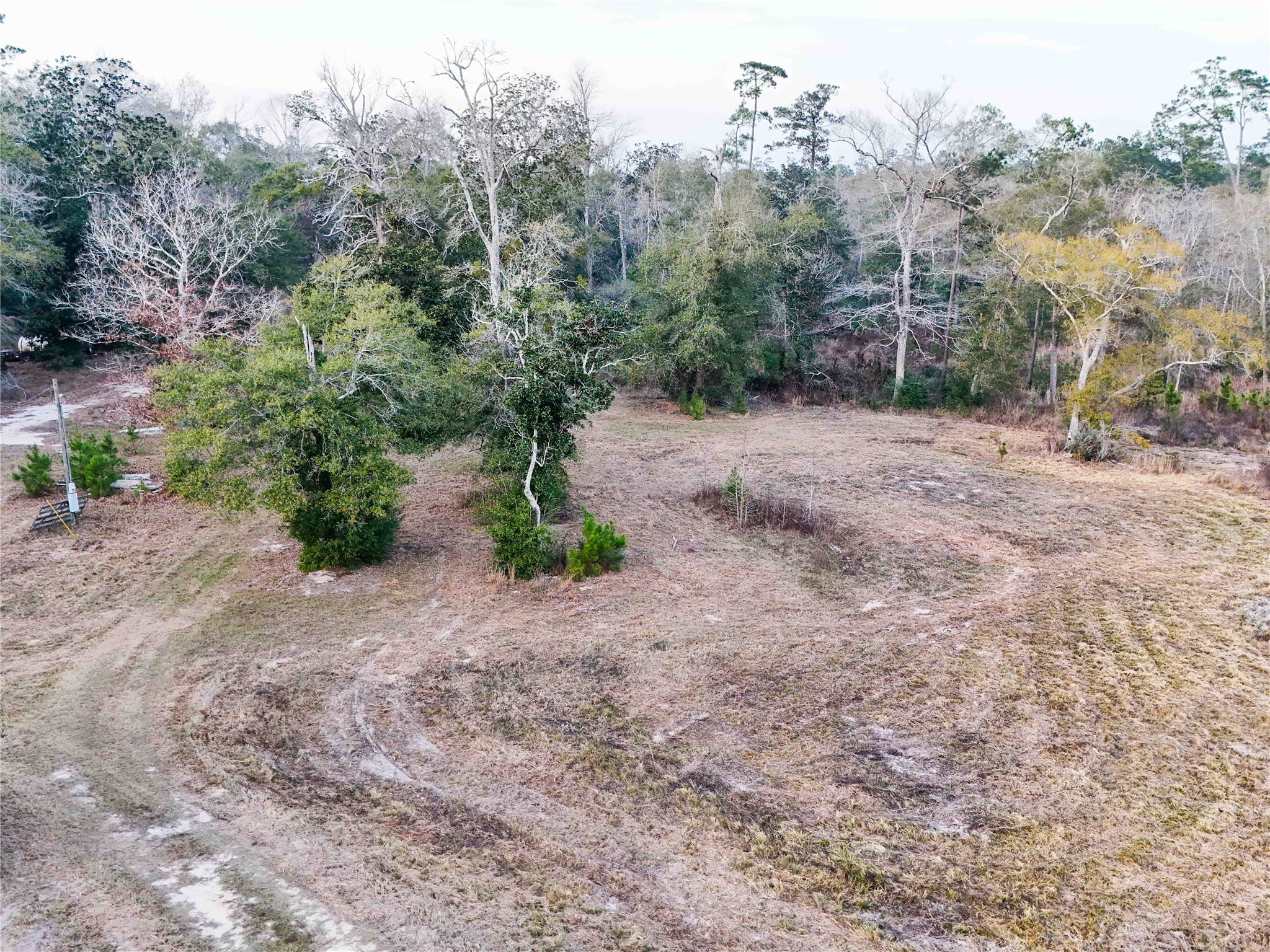 Tbd Felps Cemetery Road Saratoga, TX 77585 - Photo 26 of 50
