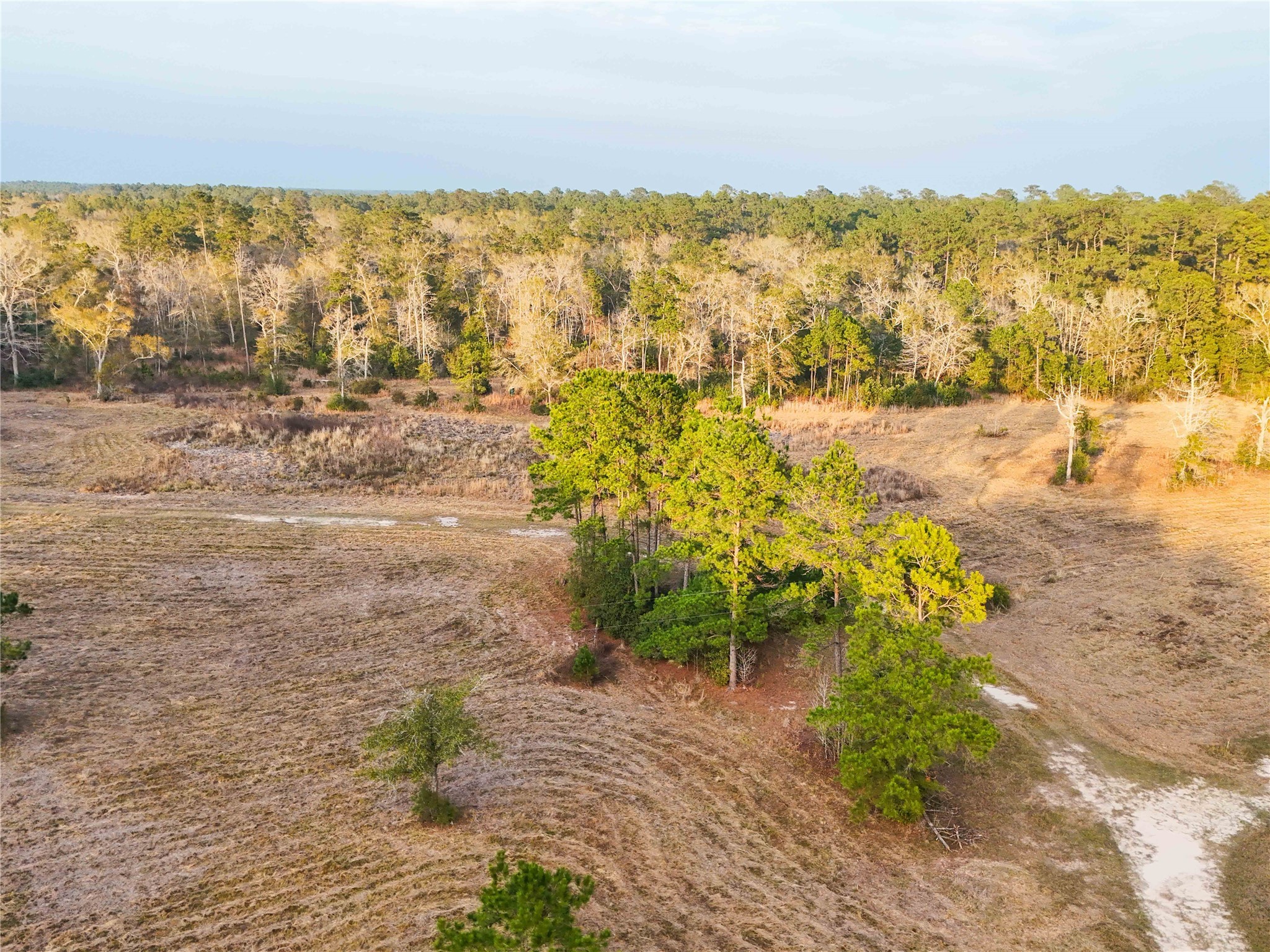 Tbd Felps Cemetery Road Saratoga, TX 77585 - Photo 27 of 50