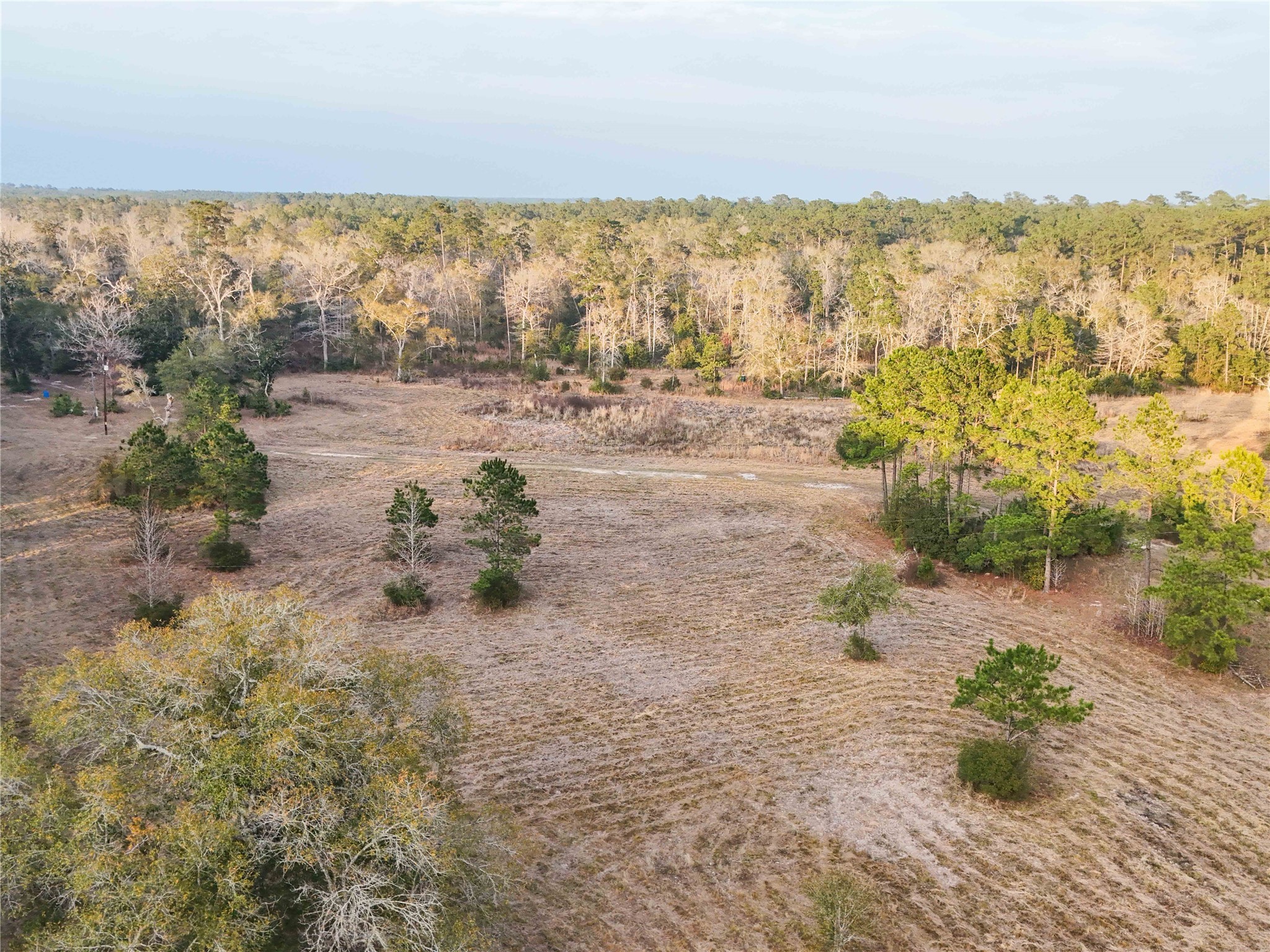 Tbd Felps Cemetery Road Saratoga, TX 77585 - Photo 28 of 50