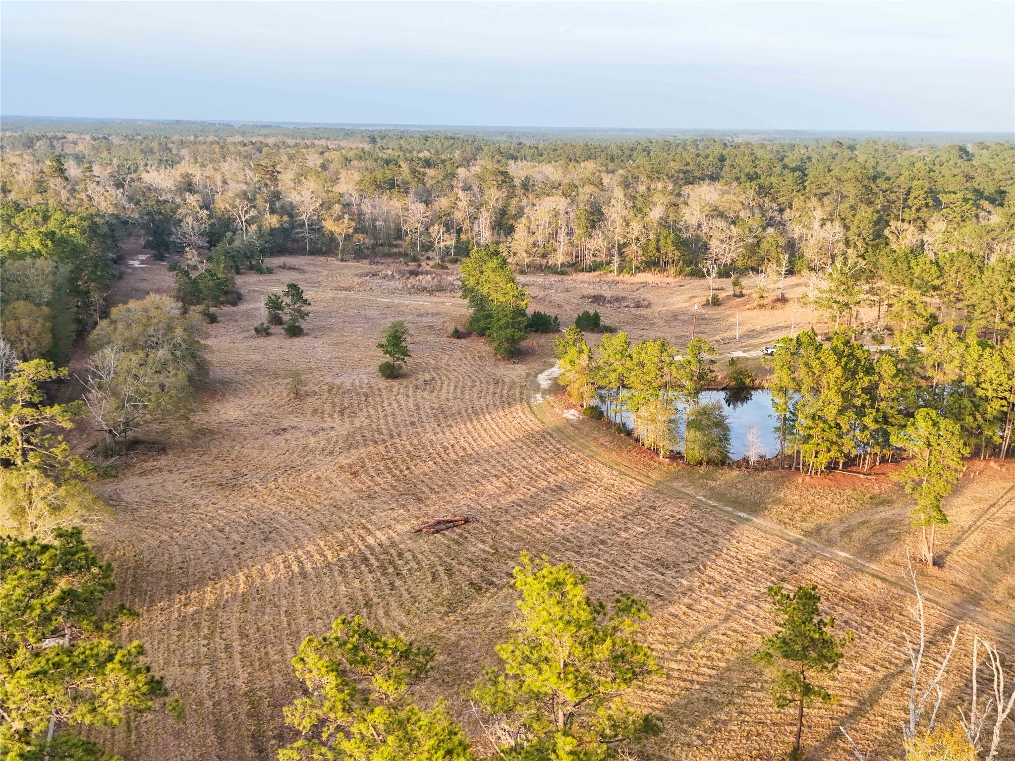 Tbd Felps Cemetery Road Saratoga, TX 77585 - Photo 29 of 50